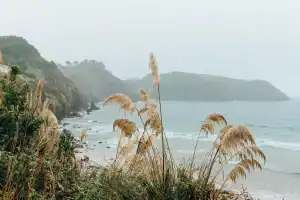 que hacer en mallorca si llueve click to fun