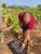 3 Wine Tasting and Premium Pairing